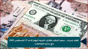 قفزة جديدة.. سعر الدولار مقابل الجنيه اليوم الأحد 17 أغسطس 2025 مع بداية التعاملات